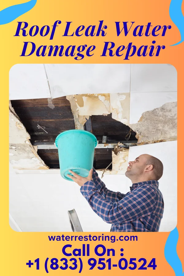 Roof Leak Water Damage Repair in Tenafly, NJ