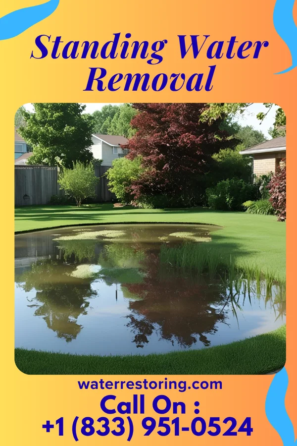 Standing Water Removal in Tenafly, NJ